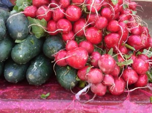 IMG00900-20110226-1616