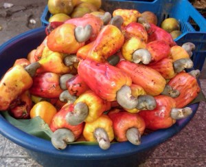 IMG00904-20110226-1628