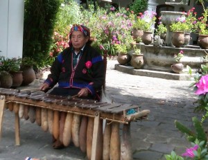 IMG00960-20110227-1249