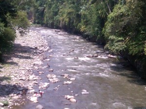 IMG01288-20110406-1229