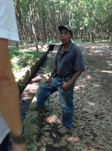 Story telling in the rubber plantation