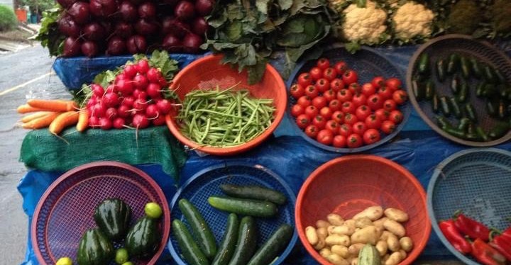 Sowing Seeds in Our&nbsp;Lives