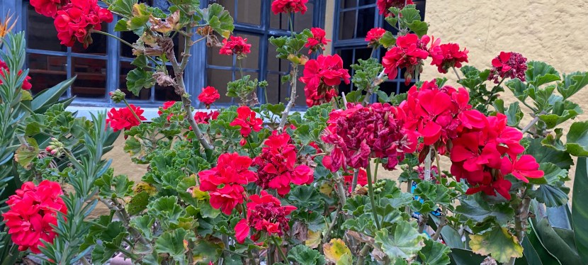 Lunes por la Mañana en&nbsp;Guatemala