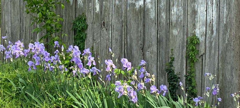 When It Doesn’t Make&nbsp;Sense