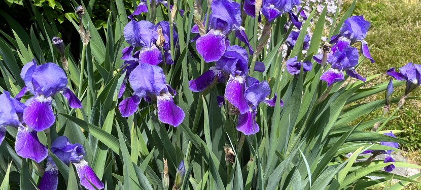 The Prayer of&nbsp;Help