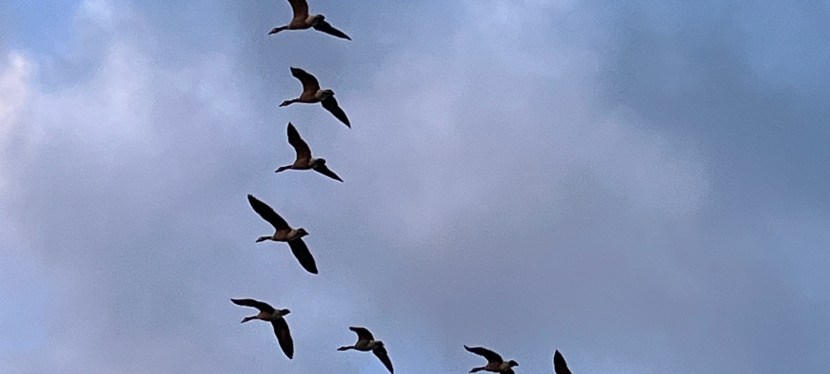 Check Your Foundation